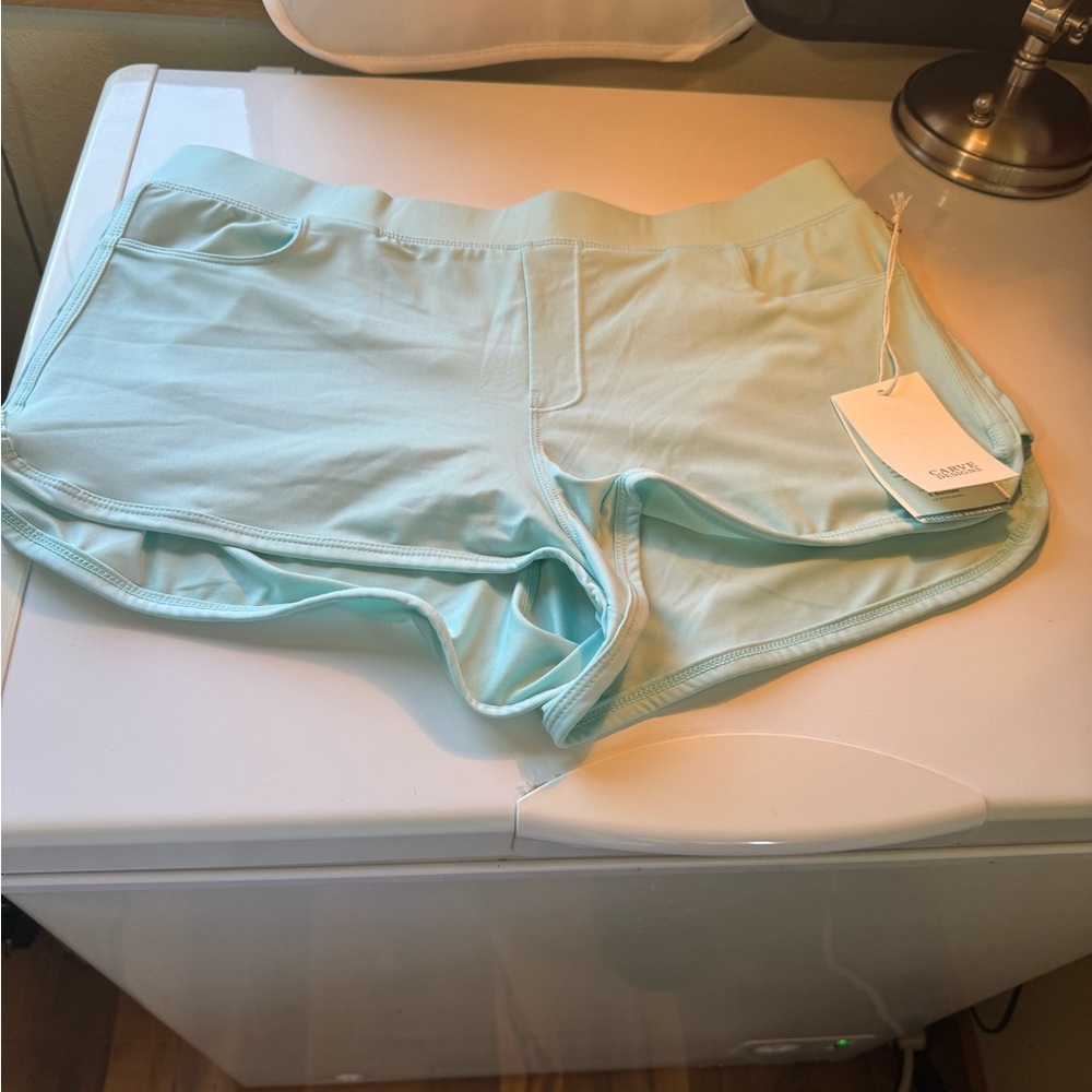 Carve Designs Sky Blue Swim Shorts